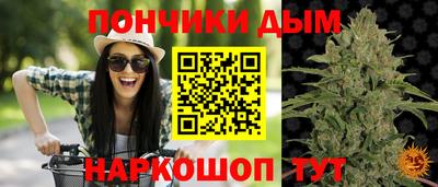 дмт Малгобек